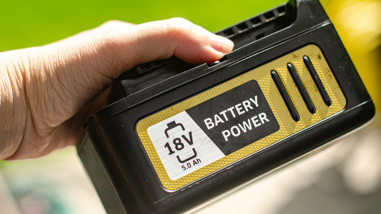 person holding lawn mower battery