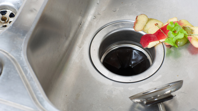 Sink with food scraps