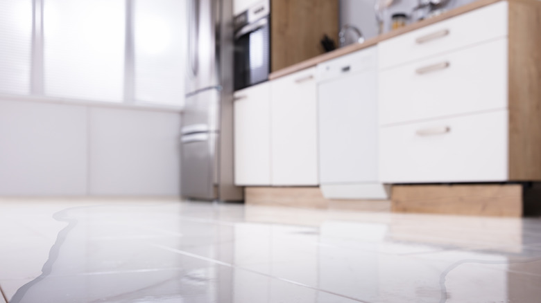 Water on kitchen floor