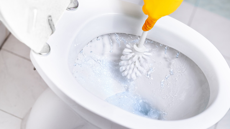 scrubbing the toilet