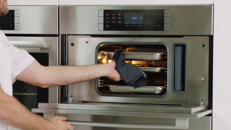 Steam oven in wall