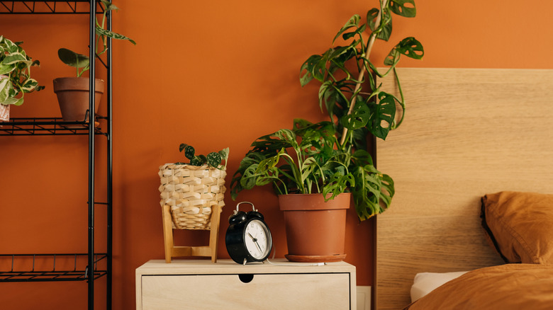 A bedroom painted terracotta and decorated with terracotta plants