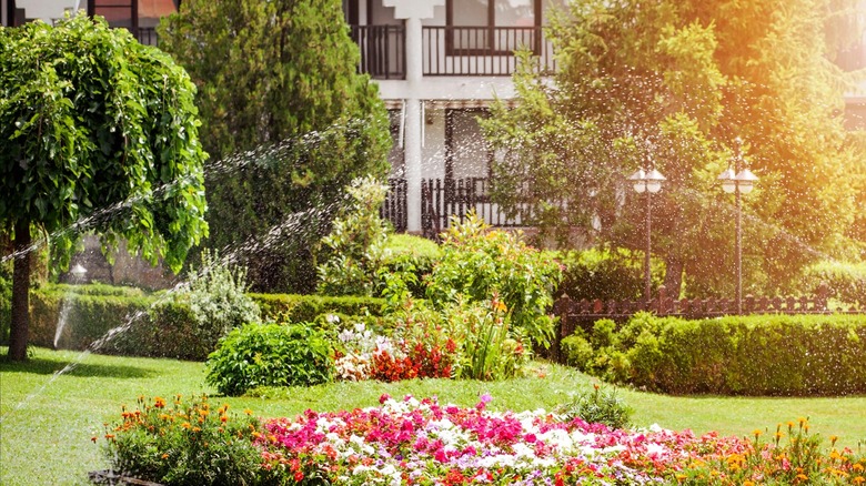 Beautiful landscaping and sprinklers running 