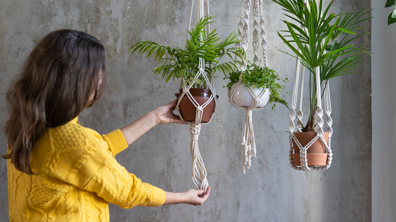 woman hanging a house plant