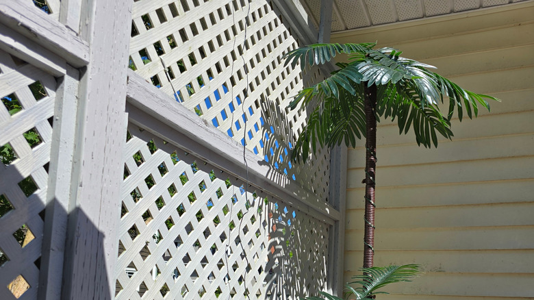 A porch enclosed by lattices