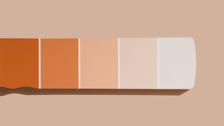 terracotta paint sample