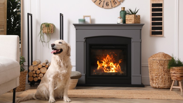 Fireplace with fire burning