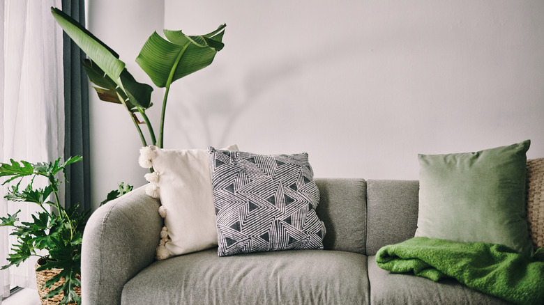 textured living room in green and gray