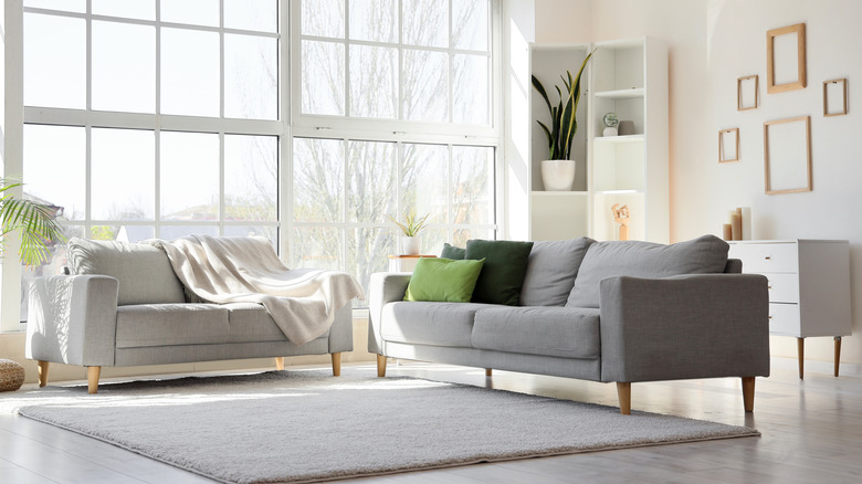 Interior of light living room with cozy gray sofas near a big window.