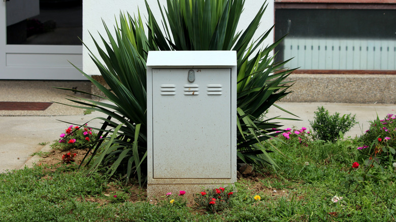 An electrical box in a front yard with New Zealand flax growing behind it.