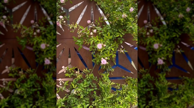 The finished privacy screen hiding trash cans