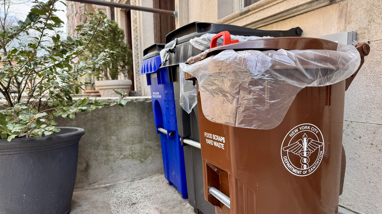 Ugly trash cans outside of a house