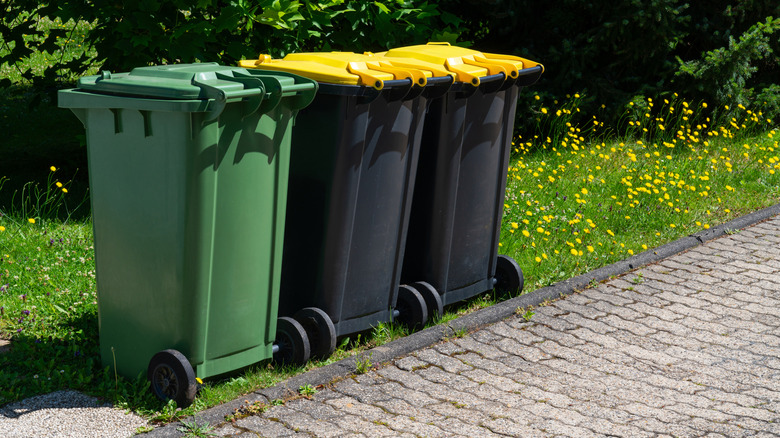 Closed trash bins on the edge of a lawn