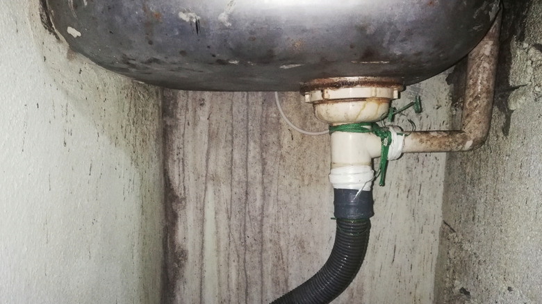 The cabinet beneath a sink basin is covered in mold.