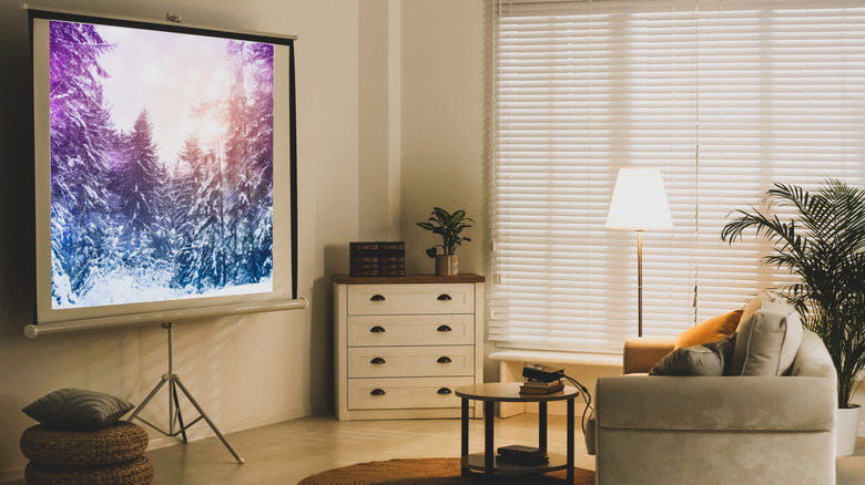 Projector screen in living room