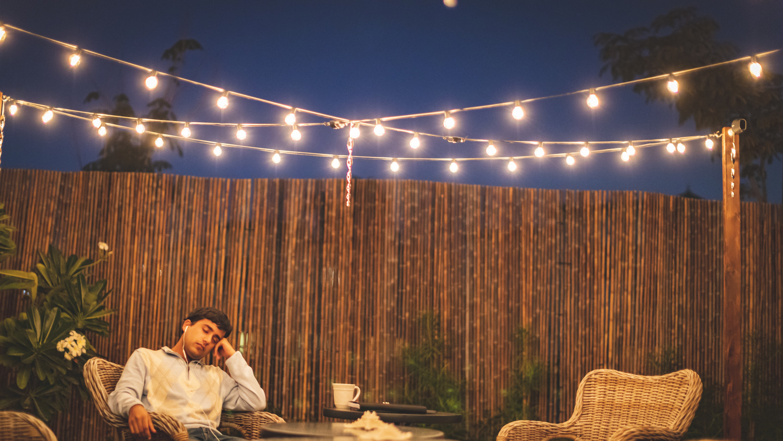 Hide Your Neighbor's Fence With A DIY That Totally Elevates The Look Of Any Yard