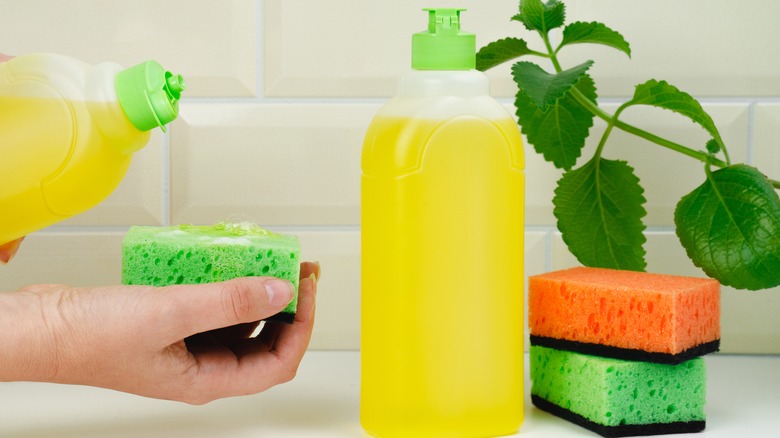 detergents on counter