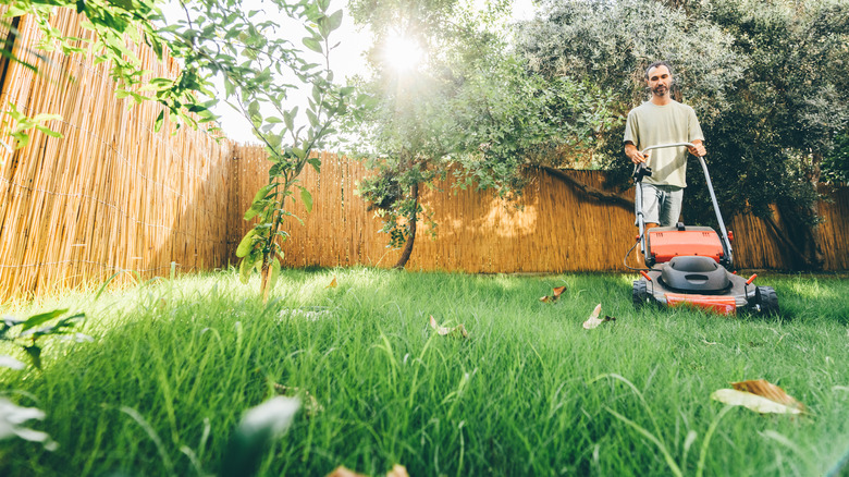 Man mowing tall lawn in backyard