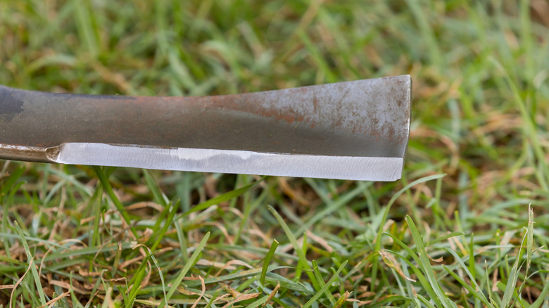 Closeup of lawn mower blade with sharp cutting edge.