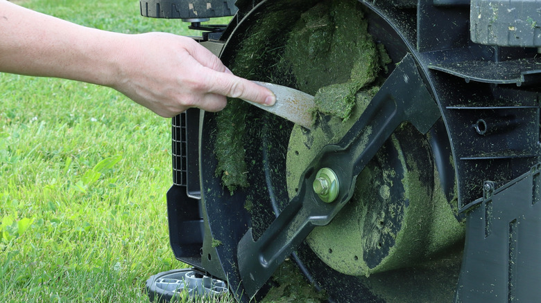 Hand is cleaning stuck grass on lawn mower deck