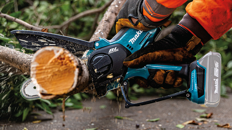 A person sawing branches with Makita's 18V LXT Lithium-Ion Brushless Cordless 6-inch Pruning Saw