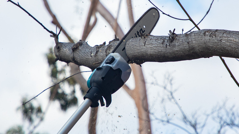 Close-up of Makita's 18V LXT x2 Lithium-Ion Brushless Cordless 10-inch Telescoping Pole Saw in action