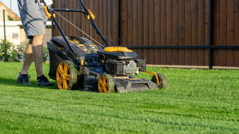 A man pushes a lawn mower across a lawn with a wooden fence in a residential neighborhood.
