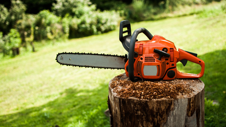 Chainsaw sitting on tree stump on a large green lawn with trees in the background