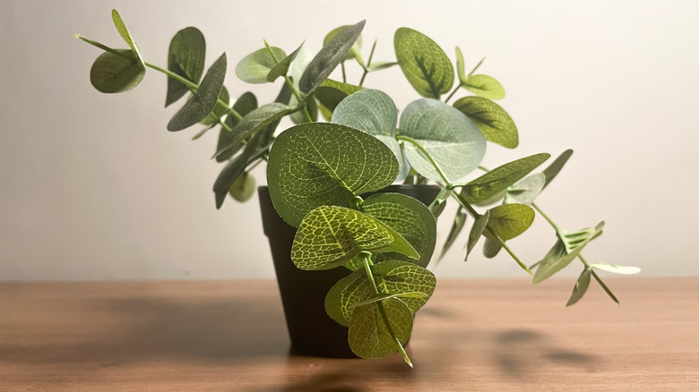 A fake potted plant