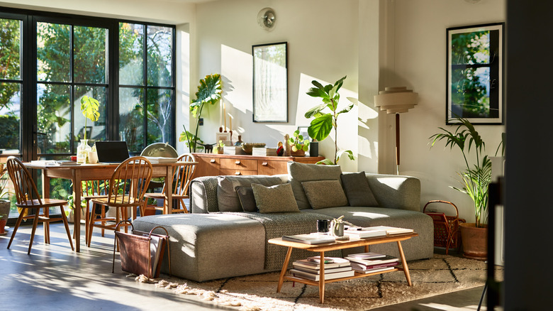 A living area with houseplants