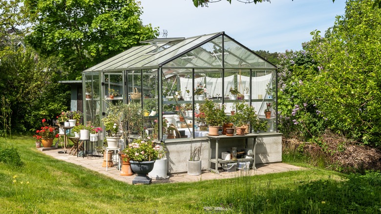 glass greenhouse