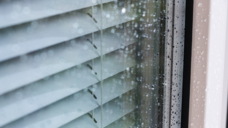 Storm window up close raining