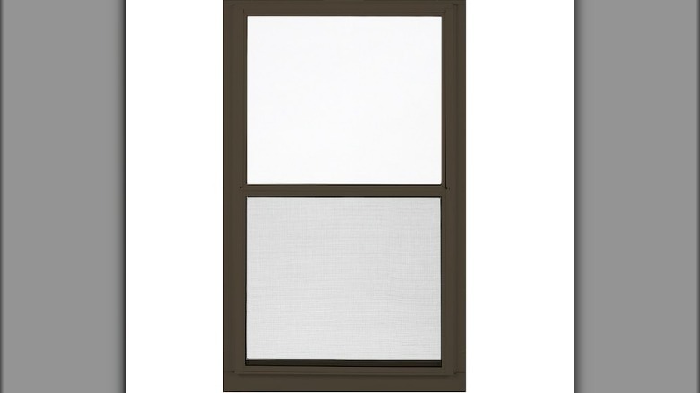 Brown storm window