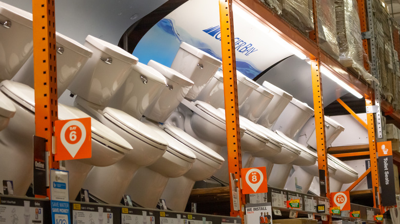 toilet aisle at Home Depot