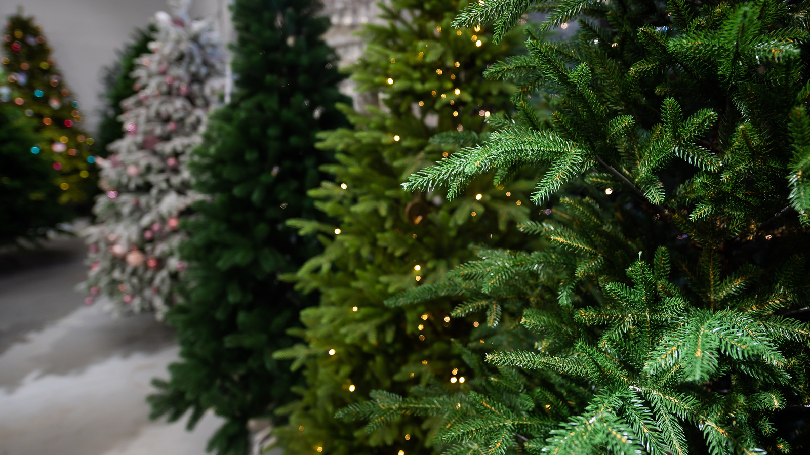 Home Depot Or Lowe's: Which Has The Best Deal On Christmas Trees?