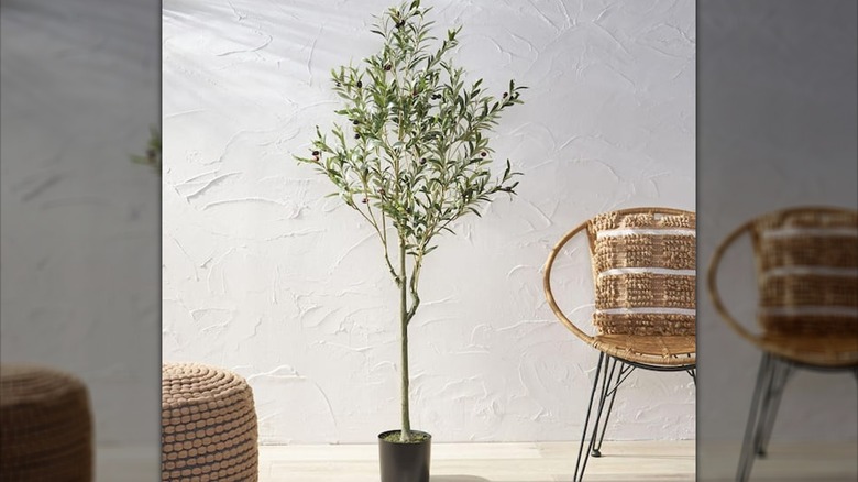 An artificial olive tree in front of a textured white wall