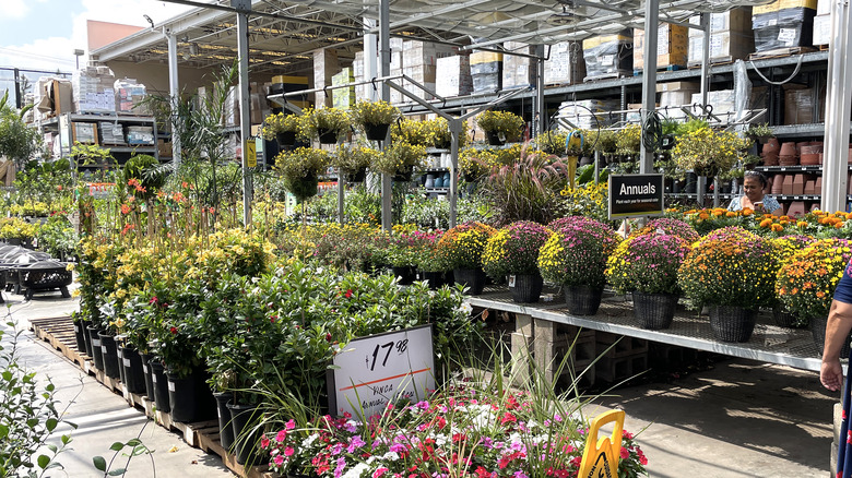 garden center at home depot