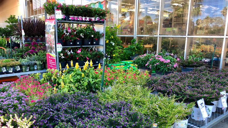 home depot garden center
