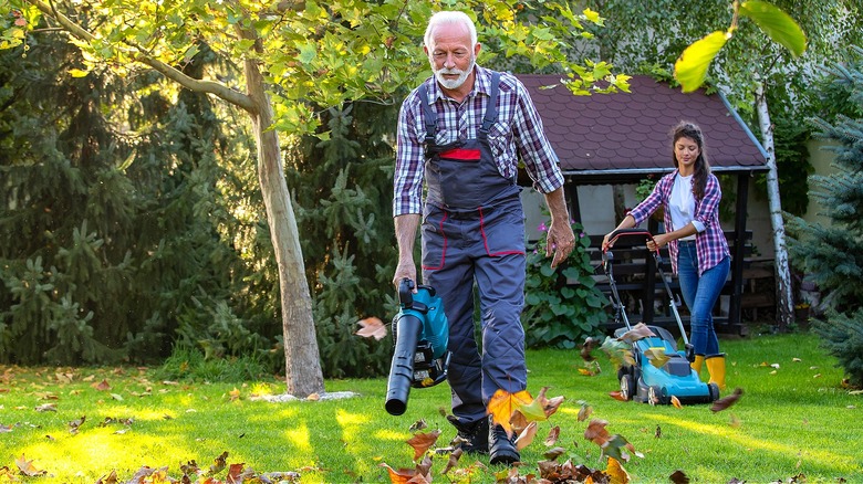 People cleaning yard of leaves