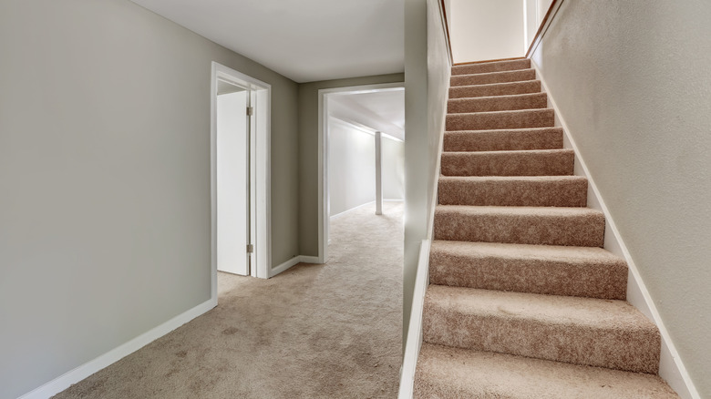 Closeup of carpeted stairs in a house