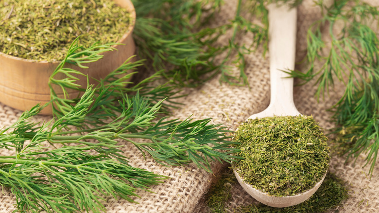 Fresh and dried dill on a table