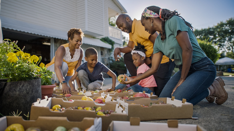 Jamila Norman sorting produce