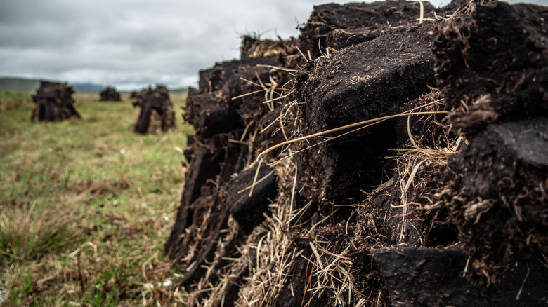 Peat that has been excavated for use