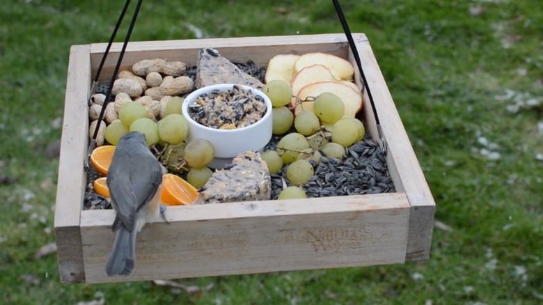A bird sits on a hanging tray filled with seeds and fruit.