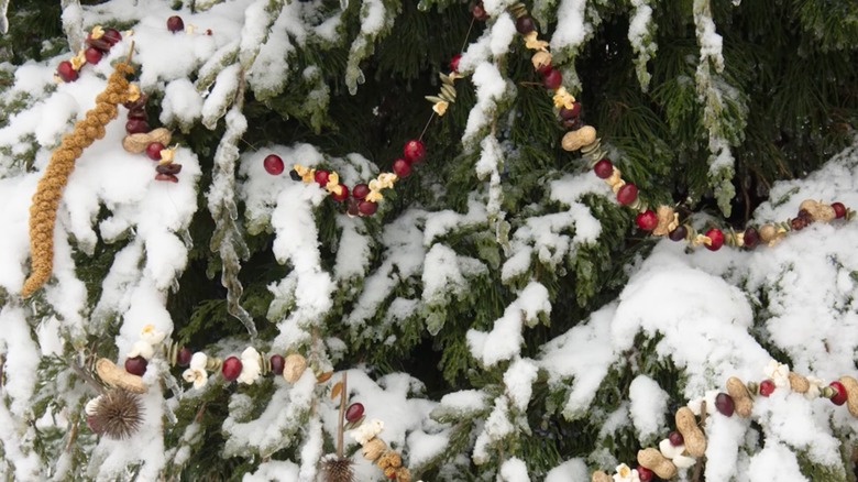 A popcorn and fruit garland hangs on a snowy tree.