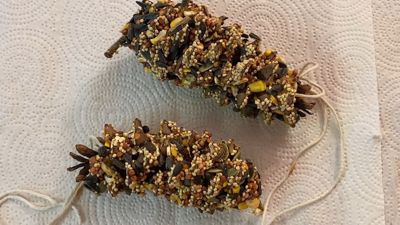 A bird perches on a pine cone covered with peanut butter and seeds.