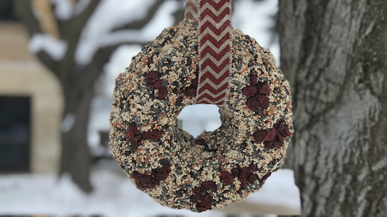 A seed wreath hangs by a ribbon from a tree.