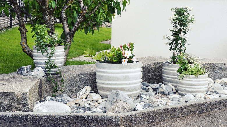 Concrete planters in rock garden with retaining wall near home.