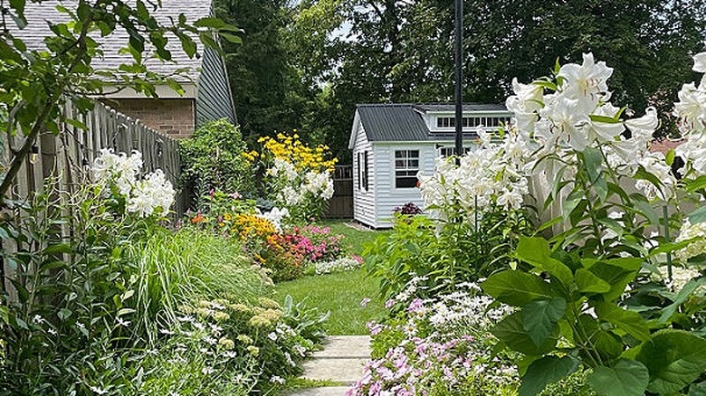 Backyard makeover with square pavers, tall flowers, and a white garden shed