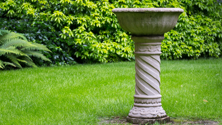 ornate Victorian-style bird bath